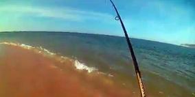 بالصورة... اصطياد مخلوق غريب الشكل يثير الرعب