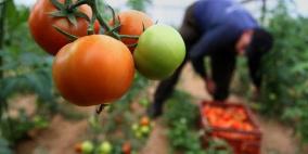 زراعة غزة تسمح بفتح الأسواق شمال القطاع في هذه الأوقات