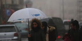 طقس بارد.. آخر تطورات المنخفض الجوي والأمطار