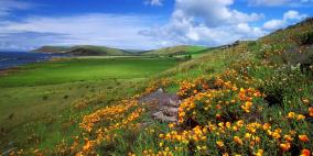 أجواء صافية