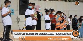 أحياء يرزقون: فعالية لزراعة أشجار الزيتون بأسماء الشهداء في كفرنعمة