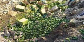 صندوق الخيار 3 شيكل.. المنظمات الأهلية تدعو لحماية المزارعين