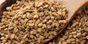 فوائد الحلبة عظيمة.. ماذا يحدث لجسمك عند تناولها؟