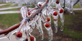 الطقس: أجواء شديدة البرودة وتحذير من تشكل الصقيع