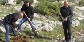 إعادة زراعة أشجار اقتلعها الاحتلال شرق طوباس