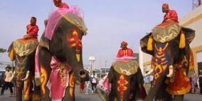 في عيد الحب.. زفاف جماعي على ظهور الأفيال