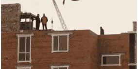 فيديو.. بقرة تتدلى في الهواء والشرطة تلاحق المتورطين!