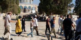 مستوطنون يقتحمون باحات الأقصى ويؤدون طقوسا تلمودية