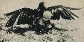 وحش السماء المفترس