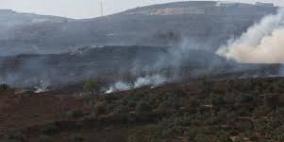 مستوطنون يحرقون 50 شجرة زيتون معمرة في بيت فجار جنوب بيت لحم