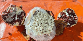 داخل الرمان.. إحباط تهريب مخدرات من لبنان للسعودية وقرار حاسم