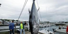 أسترالي يصطاد سمكة تونة بوزن 271 كيلو