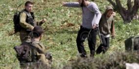 حارس مستوطنة "اليعازر" يعتدي بالضرب على شاب من بلدة الخضر