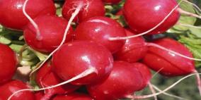 خبير تغذية يوضّح من عليه الامتناع عن تناول الفجل