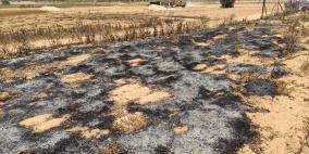 الزراعة بغزة: خسائر القطاع الزراعي جراء العدوان 204 مليون دولار