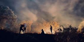 40 إصابة بالرصاص والاختناق خلال مواجهات مع الاحتلال في بيتا