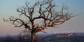 تقرير أممي: التغير المناخي سيدمر شكل الحياة خلال 30 عاما