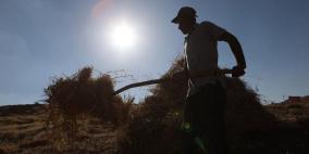 الطقس: الحرارة أعلى من معدلها وكتلة هوائية حارة نهاية الأسبوع