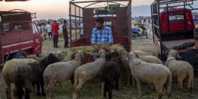 دولة تحظر الذبح الحلال في عيد الأضحى!