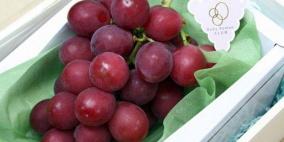 عنقود عنب بـ 12 ألف و700 دولار
