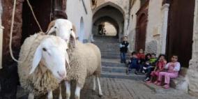 كورونا.. وفاتان و33 إصابة و228 حالة تعافٍ بالضفة وغزة