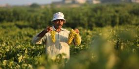 اتحاد المزراعين يعلن عن قاعدة بيانات مفصلة ويوجه رسالة للمالية