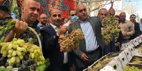 صور: انطلاق مهرجان تسويق العنب في جنين