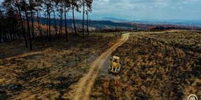 تركيا تخطط لزراعة 100 مليون شجرة لتعويض حرائق الغابات