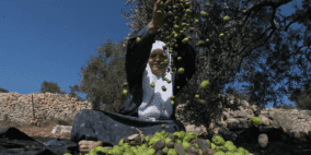 إطلاق الحملة الوطنية الشعبية "فزعة" لدعم صمود المزارعين