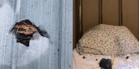 سيدة تنجو من الموت بعد سقوط نيزك على سريرها