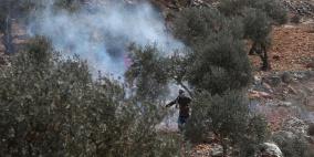 إصابات خلال اعتداء الاحتلال على فعالية لقطف الزيتون في جنين