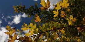 حالة الطقس: أجواء شديدة البرودة