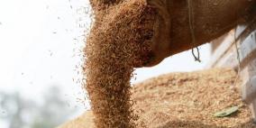 حادثة وفاة غريبة.. سحق رجل تحت 30 طنا من الأرز