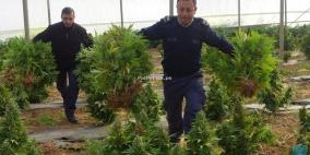 خاص: ضواحي القدس تتصدر جرائم المخدرات وهي في ارتفاع متواصل