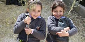 "التعليم البيئي" يُصدر ورقة حقائق ليوم الشجرة