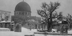 "التعليم البيئي" يرصد ثلوج فلسطين خلال 120 عامًا