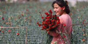 بمناسبة يوم المرأة.. رجل يهدي باقة زهور "من الذهب" بـ300 ألف دولار