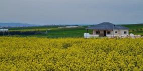 الطقس: أجواء غائمة جزئيا إلى صافية وانخفاض على الحرارة