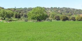 طقس فلسطين: أجواء منعشة نهارا ومائلة للبرودة ليلا