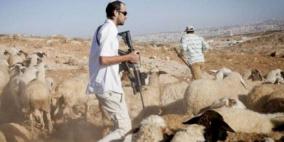 مستوطنون يعتدون على رعاة الأغنام ويهدمون غرفة سكنية جنوب الخليل