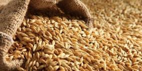 الاتحاد الأوروبي: روسيا تعرض العالم لخطر المجاعة