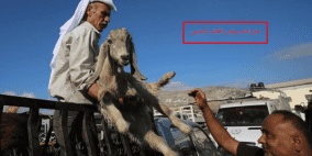 حكم حلق الشعر وقص الأظافر للمضحي قبل عيد الأضحى