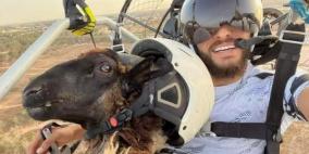 شاهد: شاب ليبي ينقل خروف العيد لوالد زوجته بطريقة مجنونة