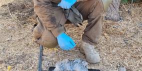 شرطة الاحتلال تحبط عملية تهريب أسلحة من الاردن