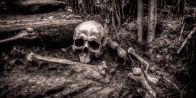 العثور على هيكل عظمي عمره 1000 عام بمتلازمة وراثية نادرة