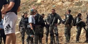 الاحتلال يعتدي على قاطفي الزيتون في وادي الربابة بسلوان