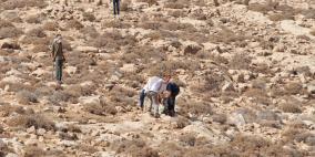 مستوطنون يطعنون متضامنة أجنبية بسكين في بيت لحم