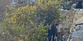 بالصور والفيديو: مستوطنون يستولون على أرض في سلوان