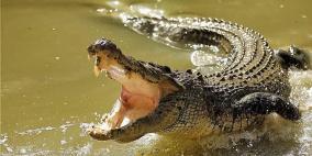 بالفيديو: تمساح عملاق يُعيد جثة طفل إلى أسرته بعد غرقه