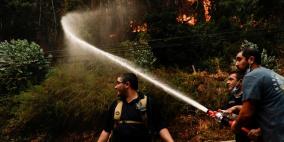 13 قتيلا على الأقل جراء حرائق غابات في تشيلي